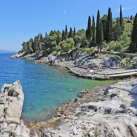 Apartments By The Sea Trpanj, Peljesac - 257 エクステリア 写真