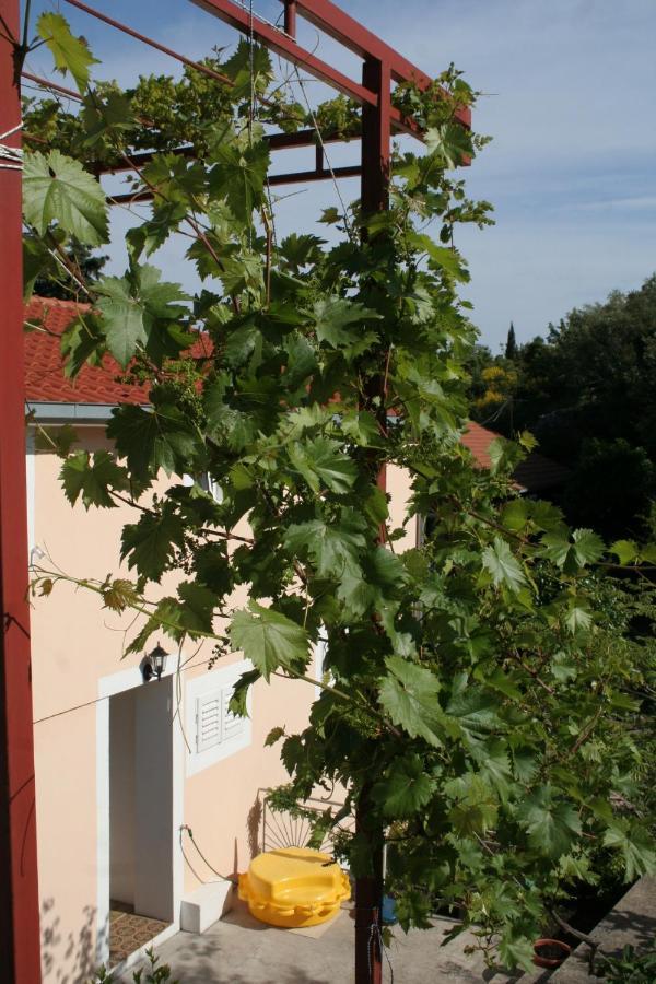 Apartments By The Sea Trpanj, Peljesac - 257 エクステリア 写真